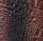 Brown Cro
