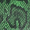 Green Snake
